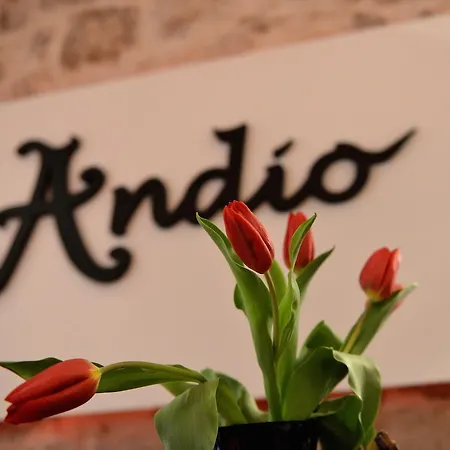 Andio